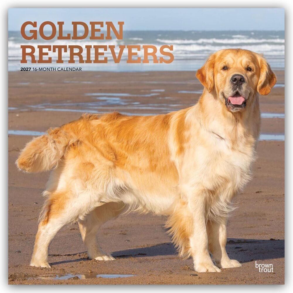 Golden Retrievers - Golden Retriever 2027 - 16-Monatskalender (Browntrout Publishers Inc)