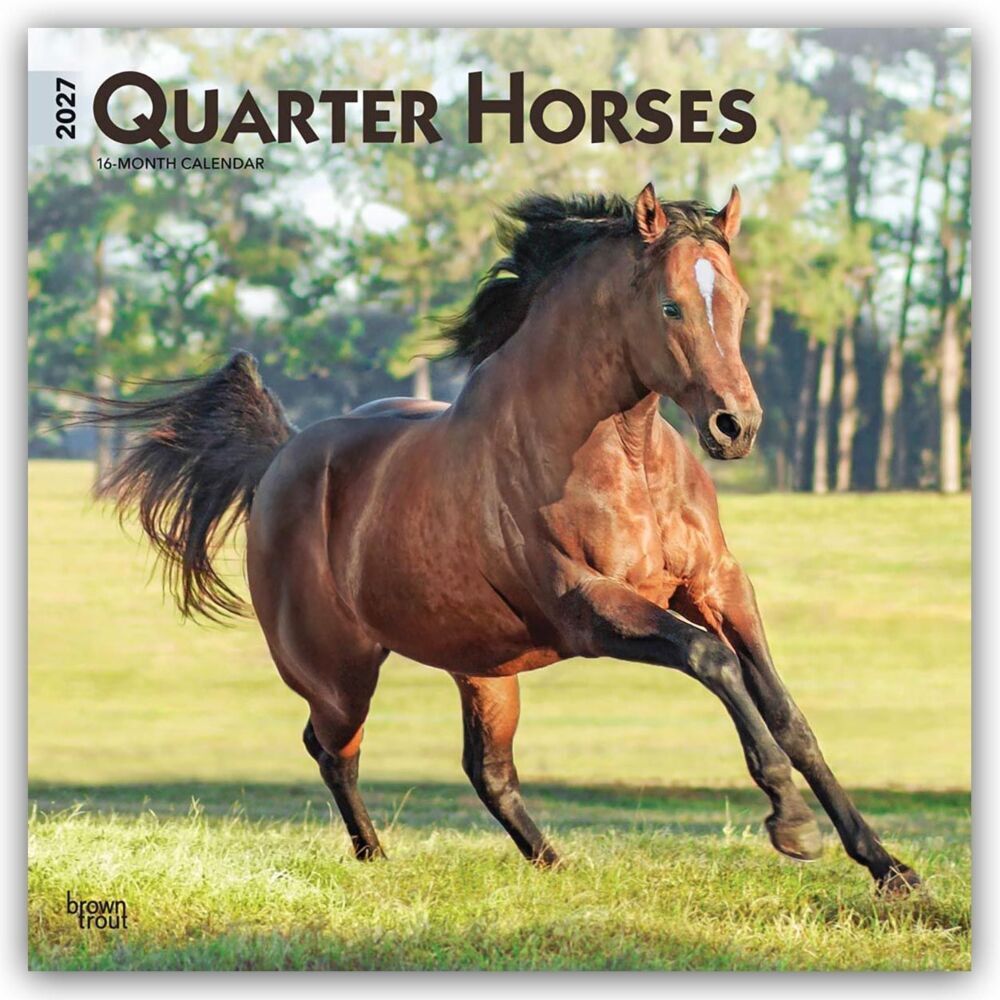 Quarter Horses - Quarter Horse 2027 - 16-Monatskalender (Browntrout Publishers Inc)