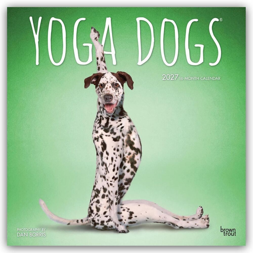 Yoga Dogs - Hunde Yoga 2027 - 16-Monatskalender (Browntrout Publishers Inc)