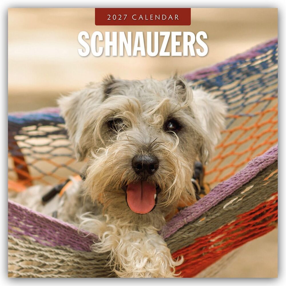 Schnauzer 2027 - 16-Monatskalender (Red Robin Publishing Ltd)