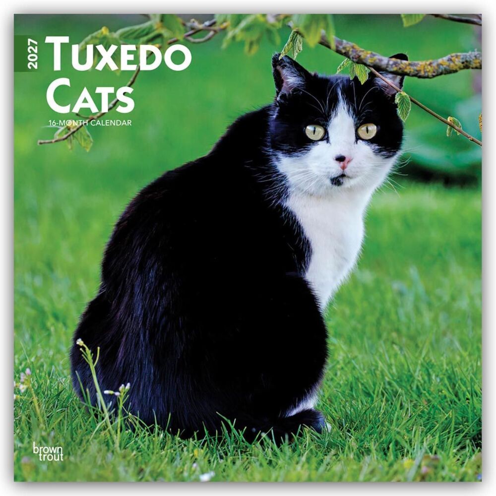 Tuxedo Cats - Tuxedo Katzen 2027 - 16-Monatskalender (Browntrout Publishers Inc)