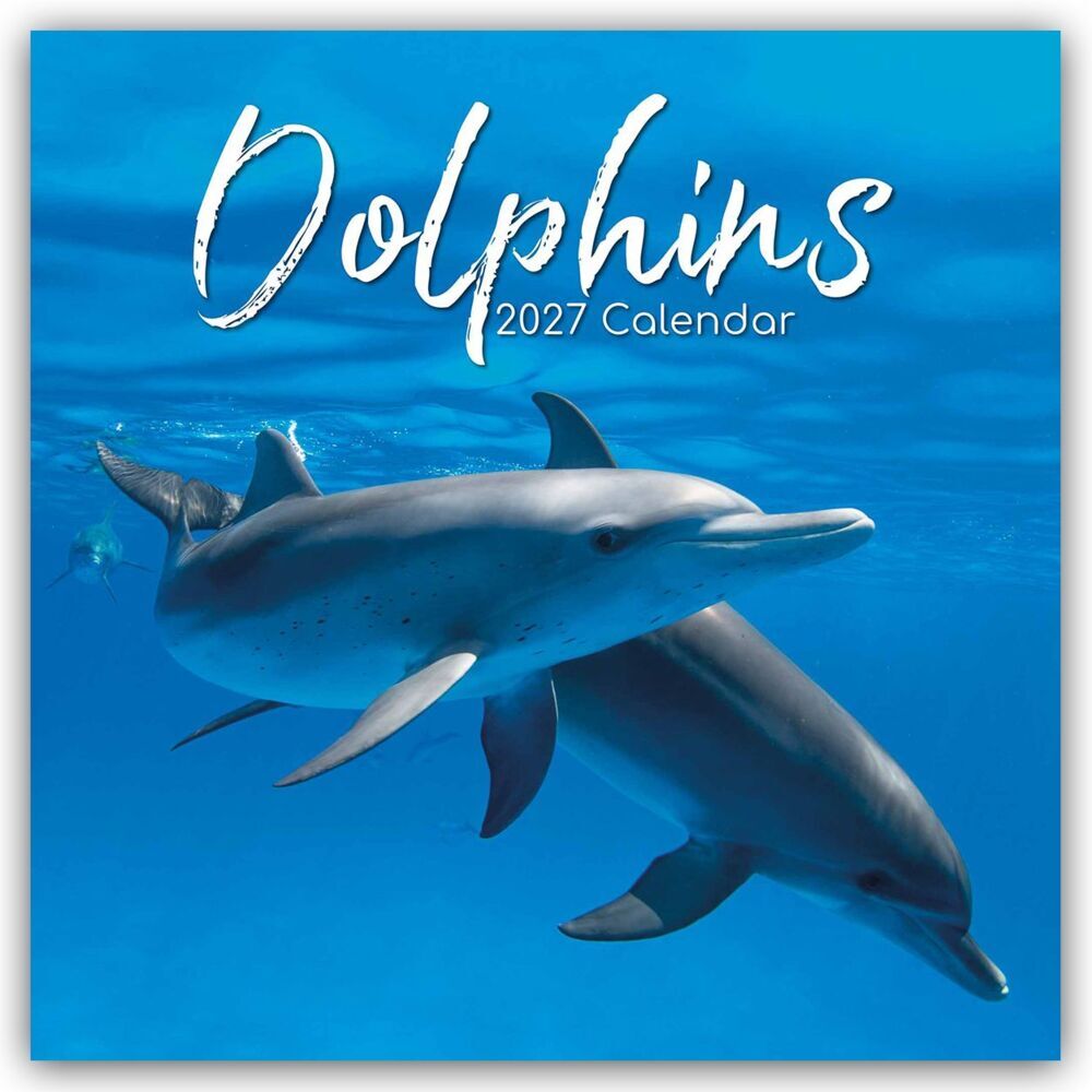 Dolphins - Delfine - Delphine 2027 - 16-Monatskalender (The Gifted Stationery Co. Ltd)