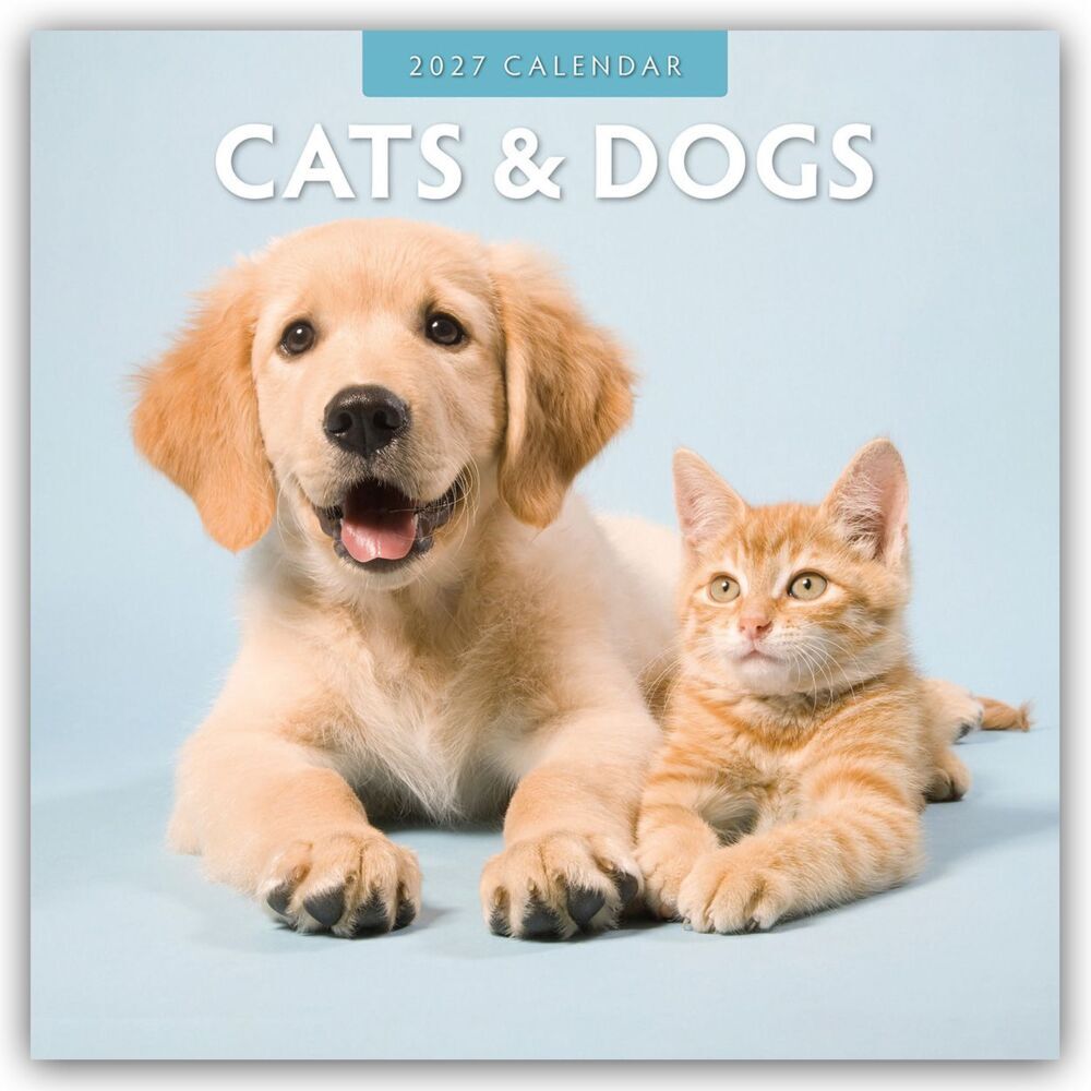 Cats & Dogs - Katzen & Hunde 2027 - 16-Monatskalender (Red Robin Publishing Ltd)