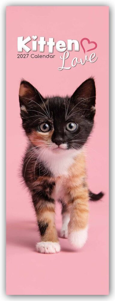 Kitten Love - Geliebte Kätzchen - Slimline-Kalender 2027 (Gifted Stationery Co. Ltd)