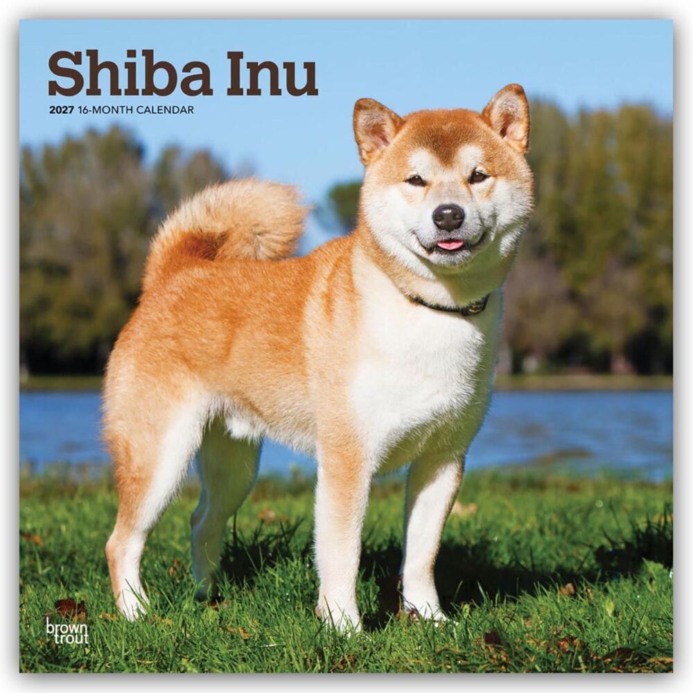 Shiba Inu - Shiba 2027 - 16-Monatskalender (Browntrout Publishers Inc)