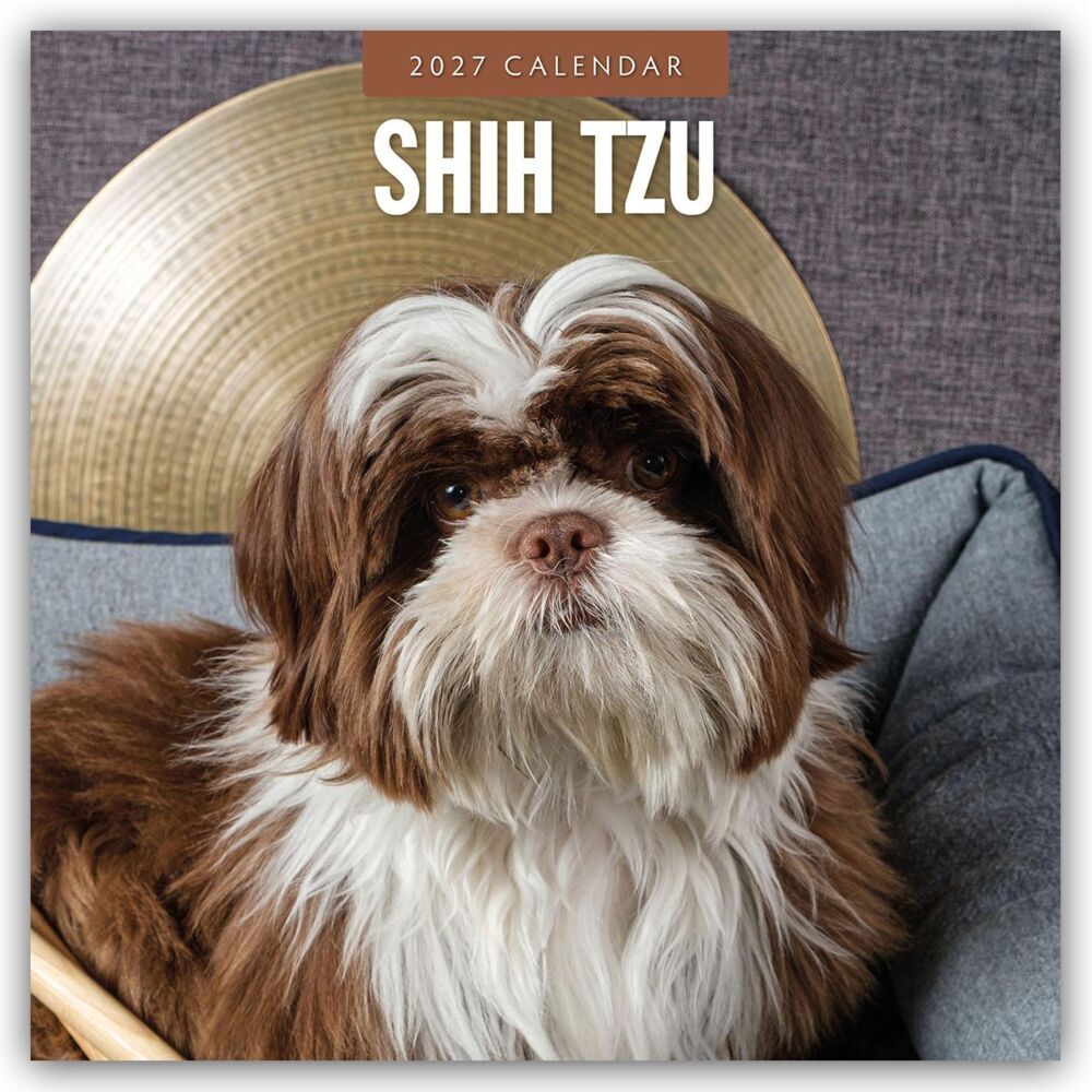 Shih Tzu 2027 - 16-Monatskalender (Red Robin Publishing Ltd)