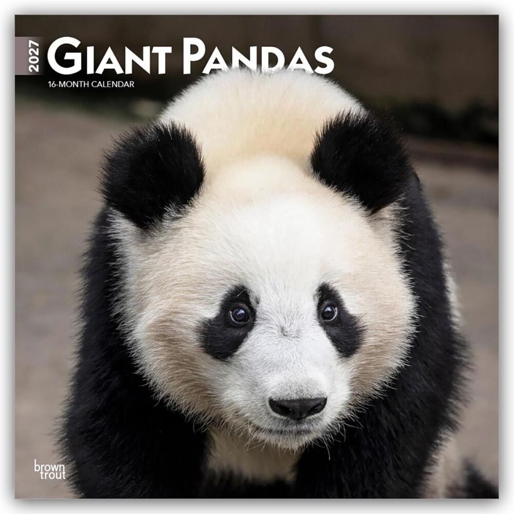 Giant Pandas - Großer Panda - Pandabären 2027 - 16-Monatskalender (Browntrout Publishers Inc)
