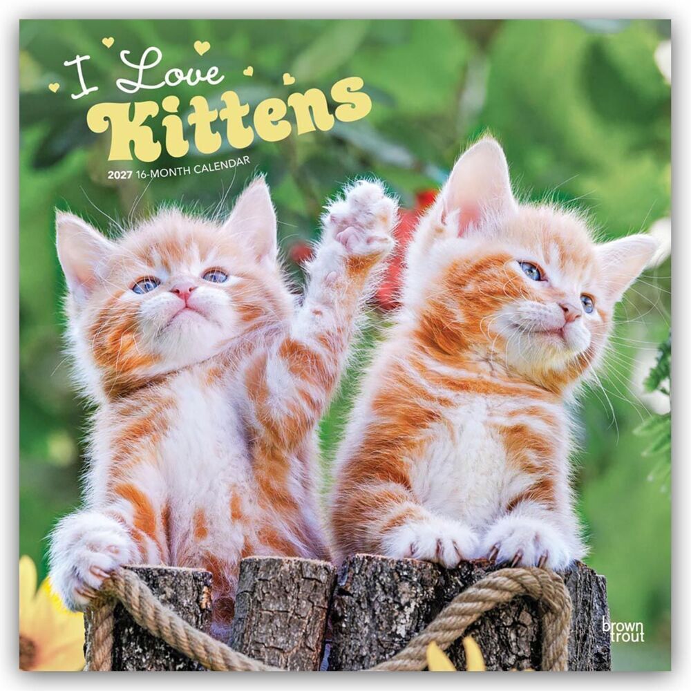 I Love Kittens - Ich liebe Katzenbabys 2027 - 16-Monatskalender (Browntrout Publishers Inc)