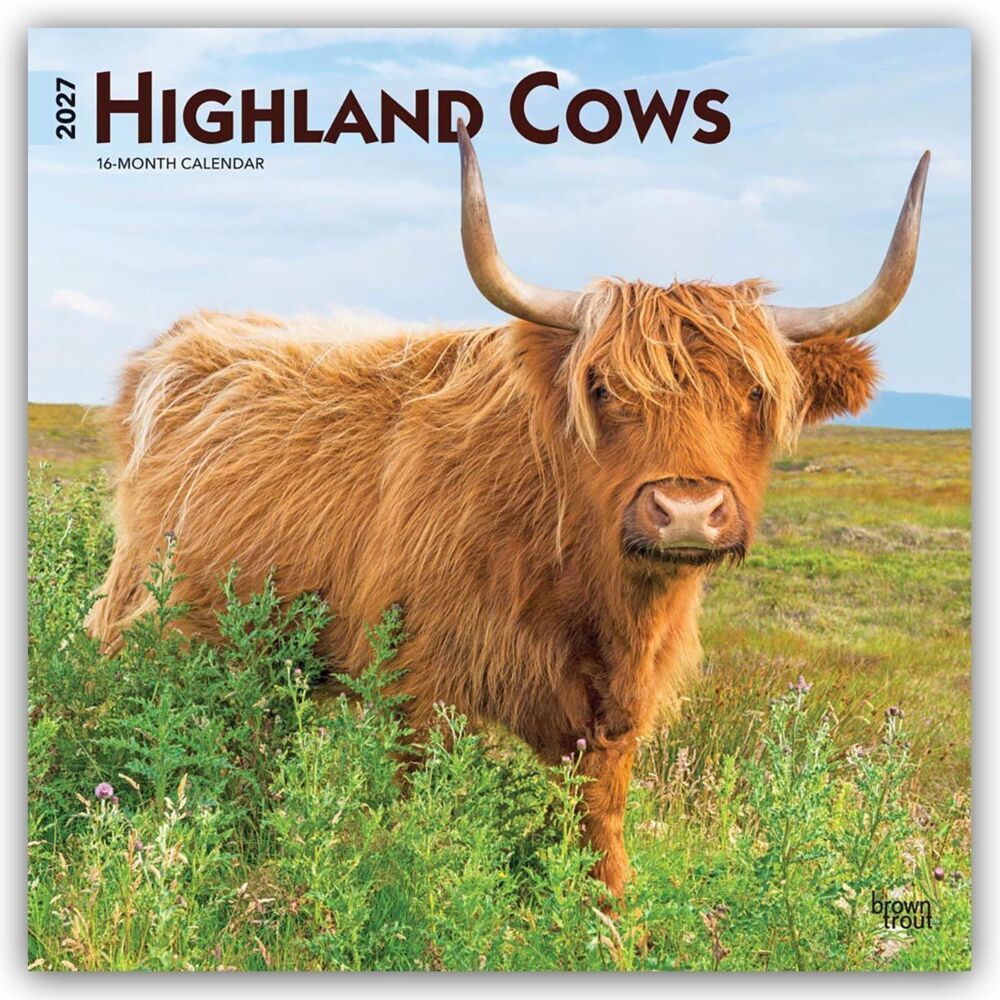 Highland Cows - Hochlandrinder 2027 - 16-Monatskalender (Browntrout Publishers Inc)