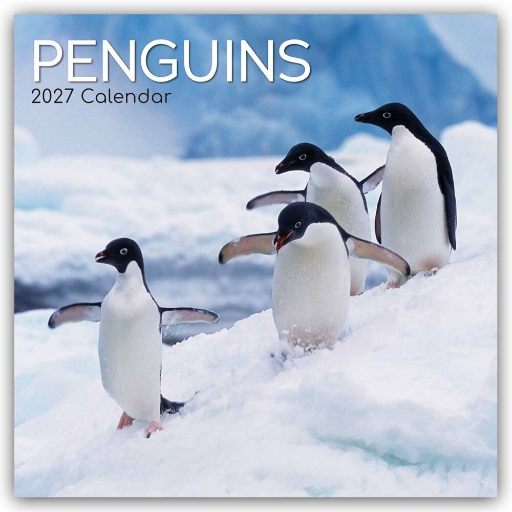 Penguins - Pinguine 2027 - 16-Monatskalender (Gifted Stationery Co. Ltd)