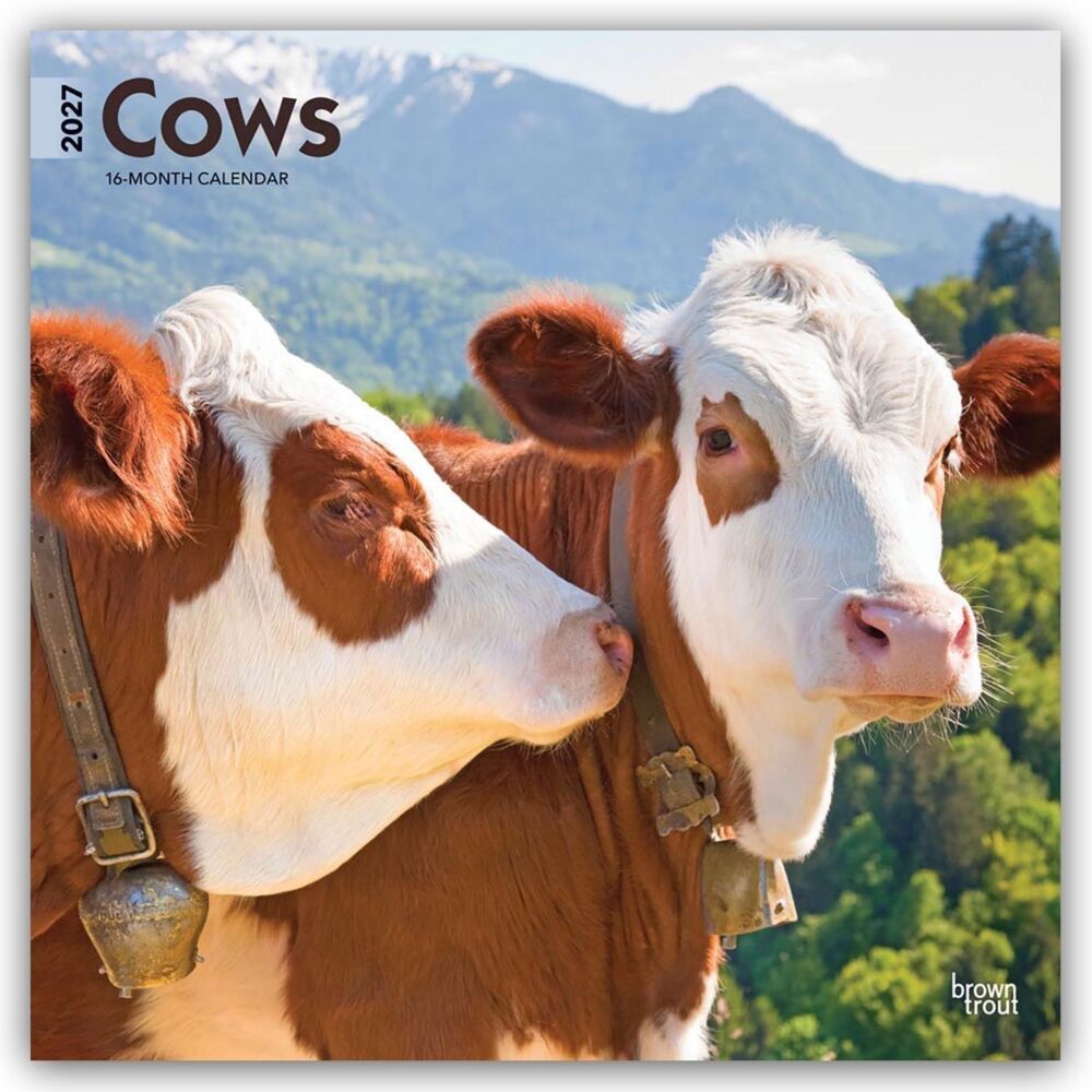 Cows - Kühe 2027 - 16-Monatskalender (Browntrout Publishers Inc)