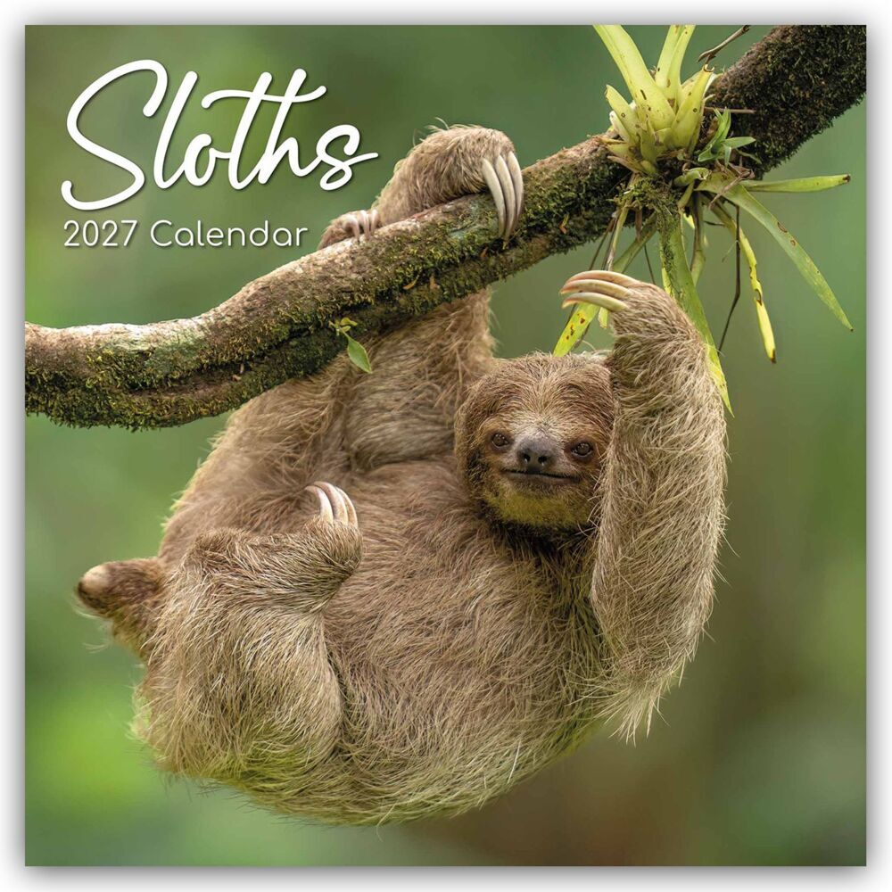 Sloths - Faultiere 2027 - 16-Monatskalender (Gifted Stationery Co. Ltd)