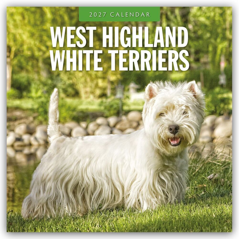 West Highland White Terriers - West Highland White Terrier - Westie 2027 - 16-Monatskalender (Red Robin Publishing Ltd)