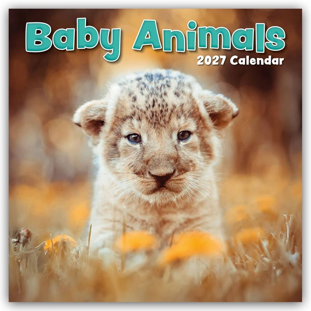 Baby Animals - Tierkinder 2027 - 16-Monatskalender (Gifted Stationery Co. Ltd)