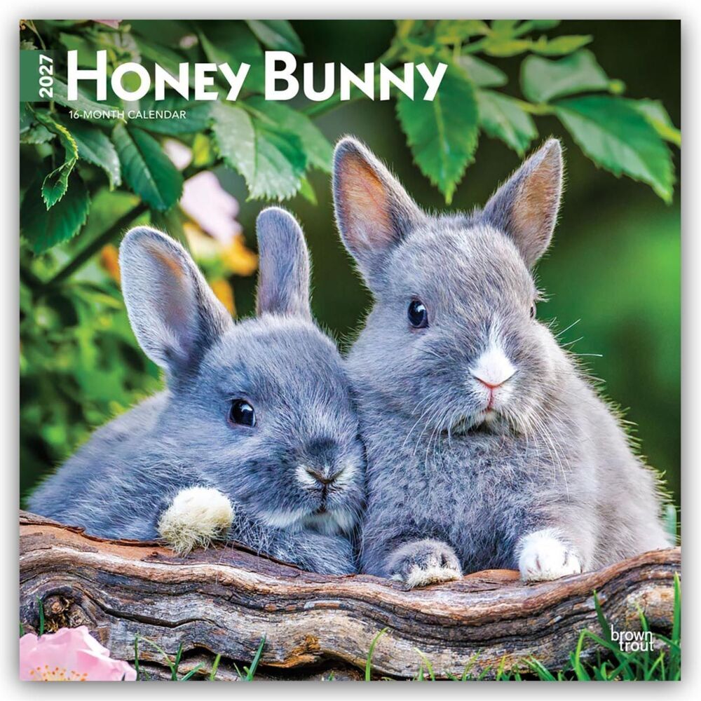 Honey Bunny - Süße Häschen 2027 - 16-Monatskalender (Browntrout Publishers Inc)
