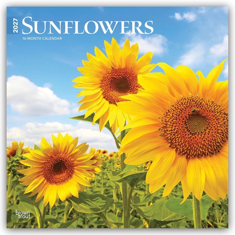 Sunflowers - Sonnenblumen 2027 - 16-Monatskalender (Browntrout Publishers Inc)