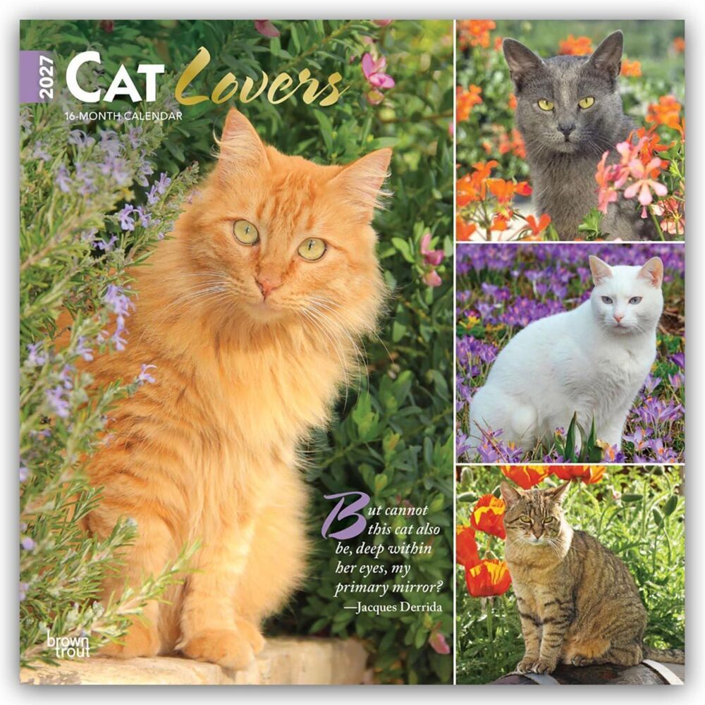 Cat Lovers - Katzenliebhaber 2027 - 16-Monatskalender (Browntrout Publishers Inc)
