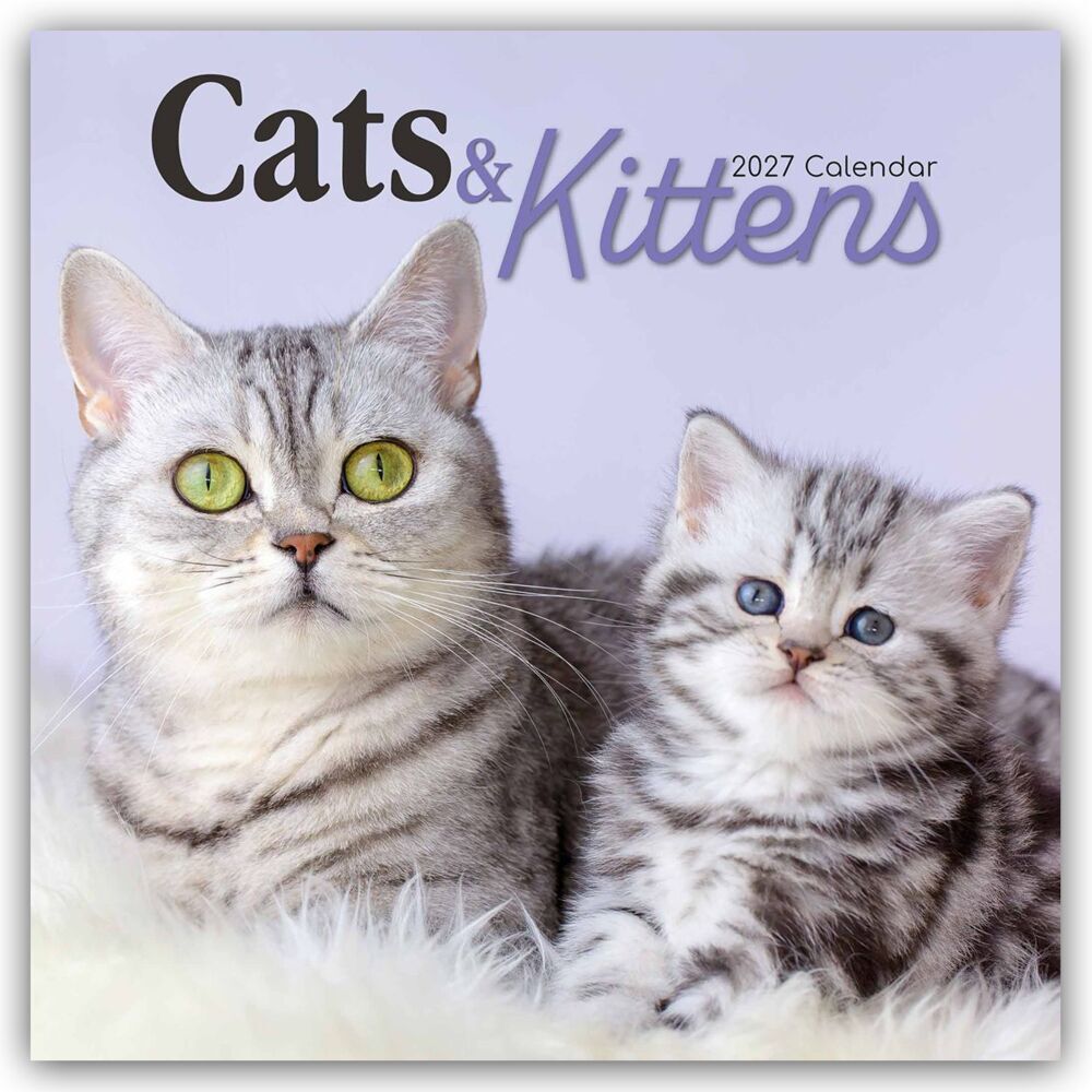 Cats and Kittens - Katzen und Kätzchen 2027 - 16-Monatskalender (Gifted Stationery Co. Ltd)