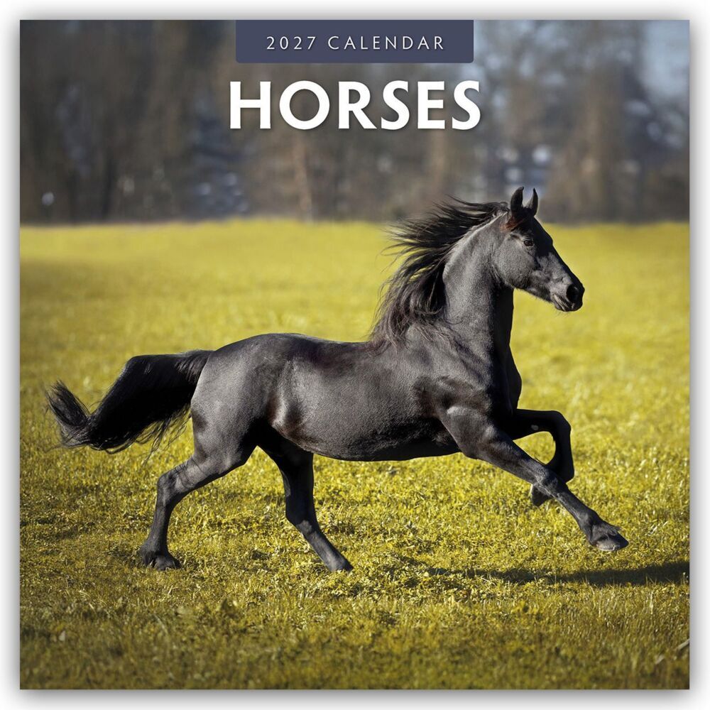 Horses - Pferde 2027 - 16-Monatskalender (Red Robin Publishing Ltd)