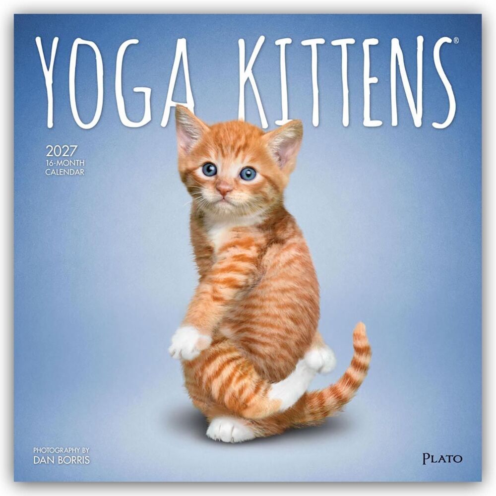 Yoga Kittens - Kätzchen Yoga 2027 - 16-Monatskalender (Browntrout Publishers Inc)