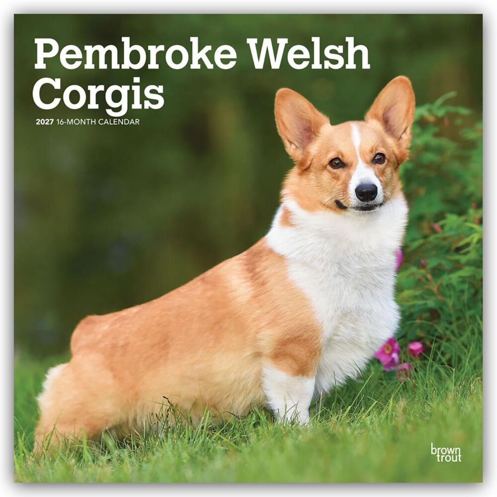 Pembroke Welsh Corgis - Pembroke Welsh Corgi 2027 - 16-Monatskalender (Browntrout Publishers Inc)