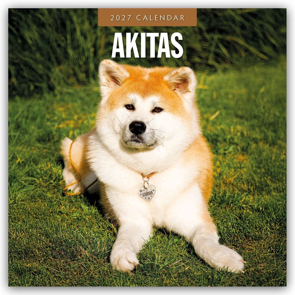 Akitas - Akita 2027 - 16-Monatskalender (Red Robin Publishing Ltd)