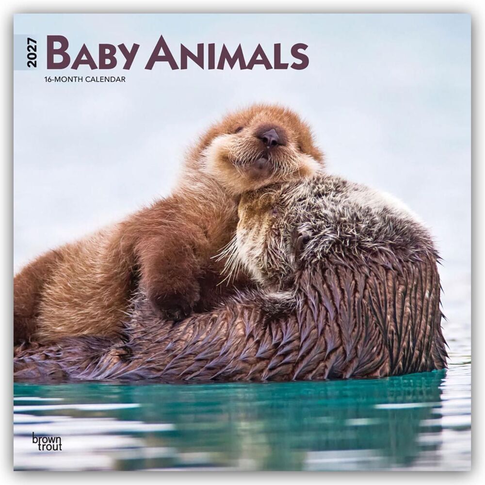 Baby Animals - Tierbabys - Tierkinder 2027 - 16-Monatskalender (Browntrout Publishers Inc)