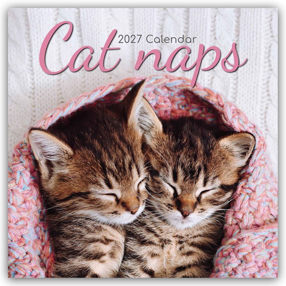 Cat Naps - Träumende Katzen 2027 - 16-Monatskalender (Gifted Stationery Co. Ltd)