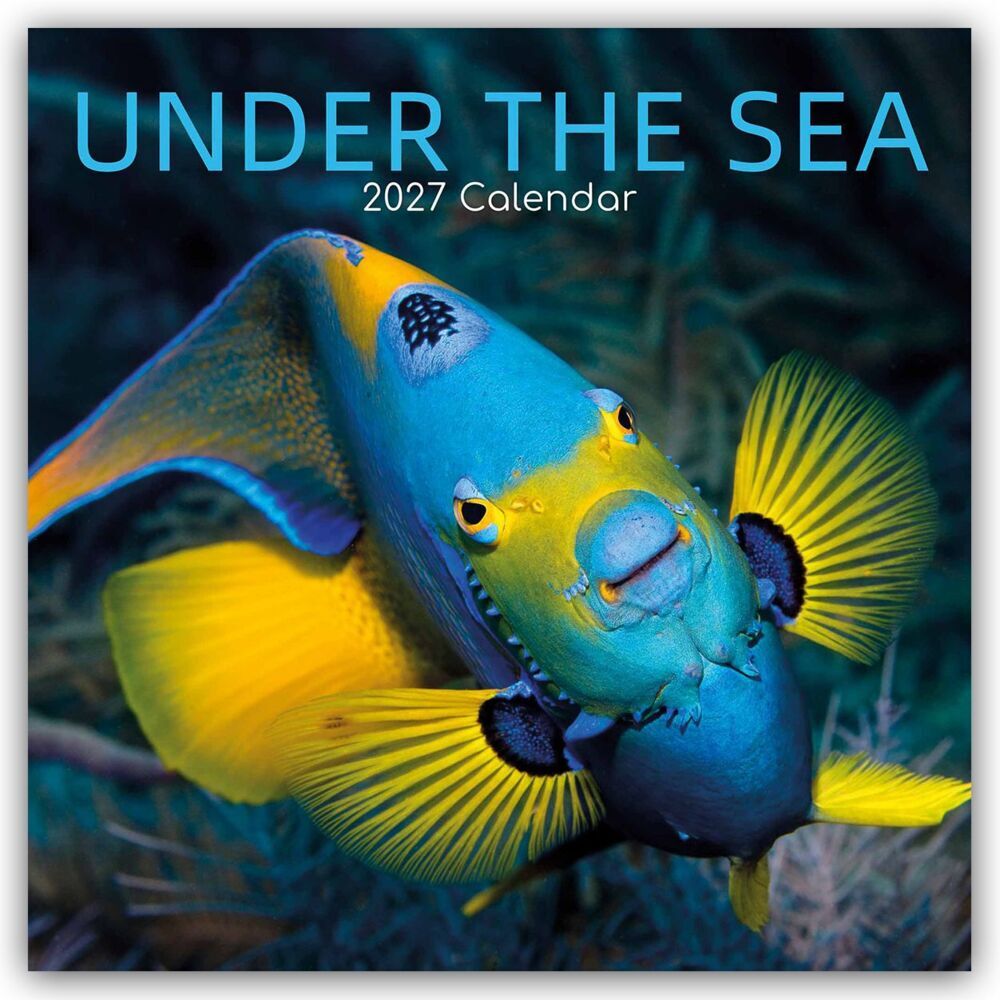 Under the Sea - Tropische Fische 2027 - 16-Monatskalender (Gifted Stationery Co. Ltd)