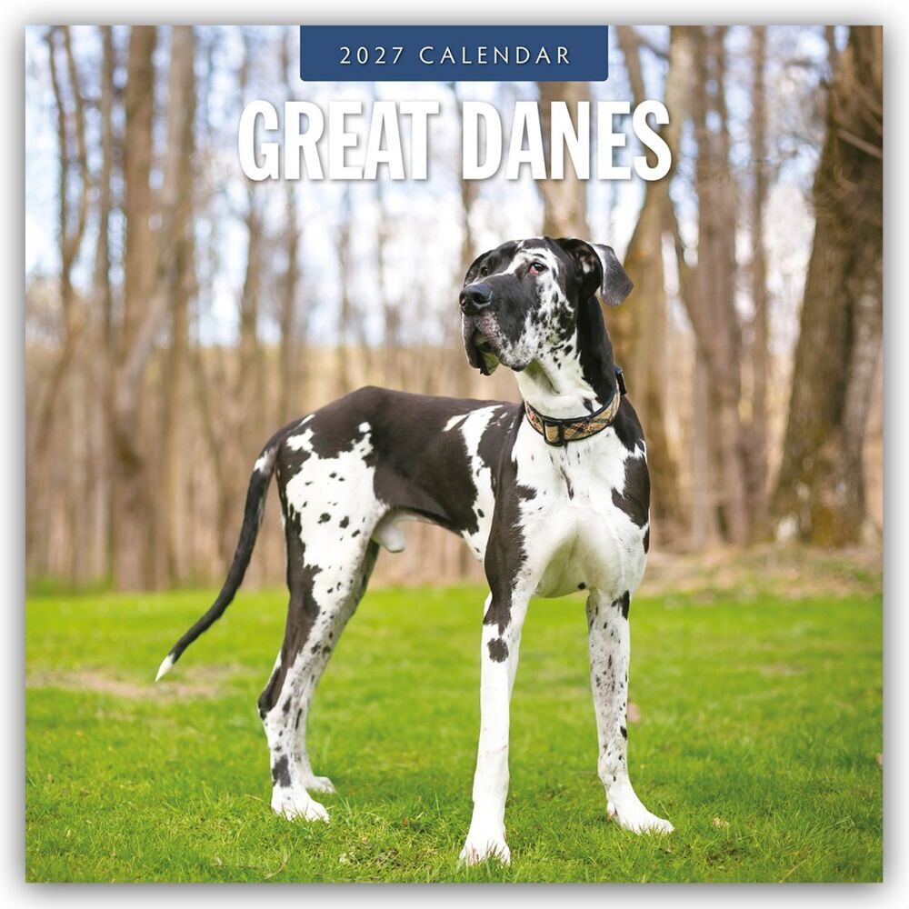 Great Danes - Deutsche Dogge 2027 - 16-Monatskalender (Red Robin Publishing Ltd)