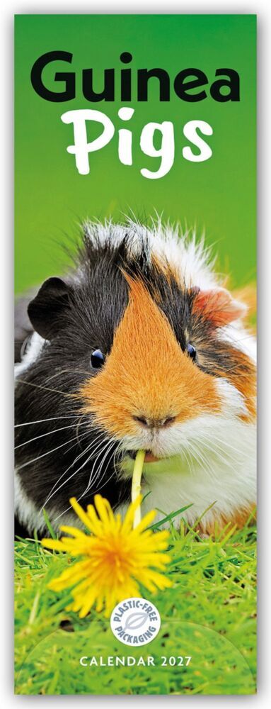 Guniea Pigs - Meerschweinchen 2027 - Slimline-Kalender (Carousel Calendar)