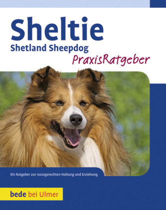 Sheltie (Charlotte Schwartz)