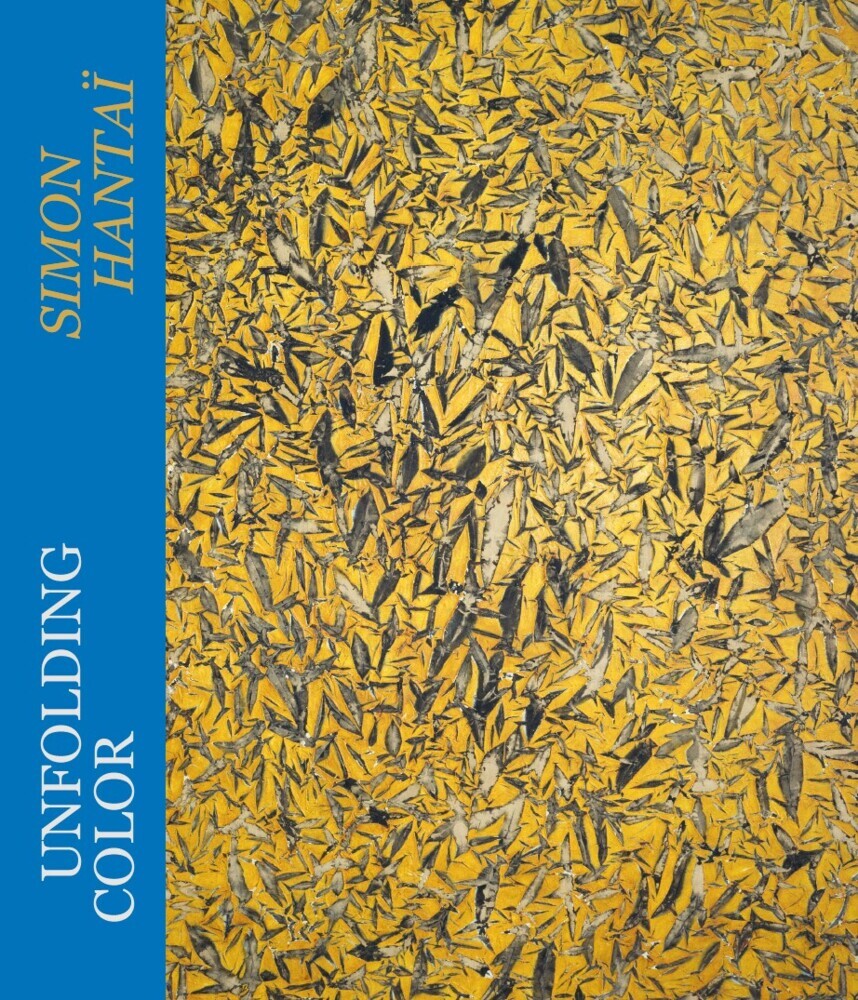 Unfolding Color - Simon Hantaï (Daniel Zamani)