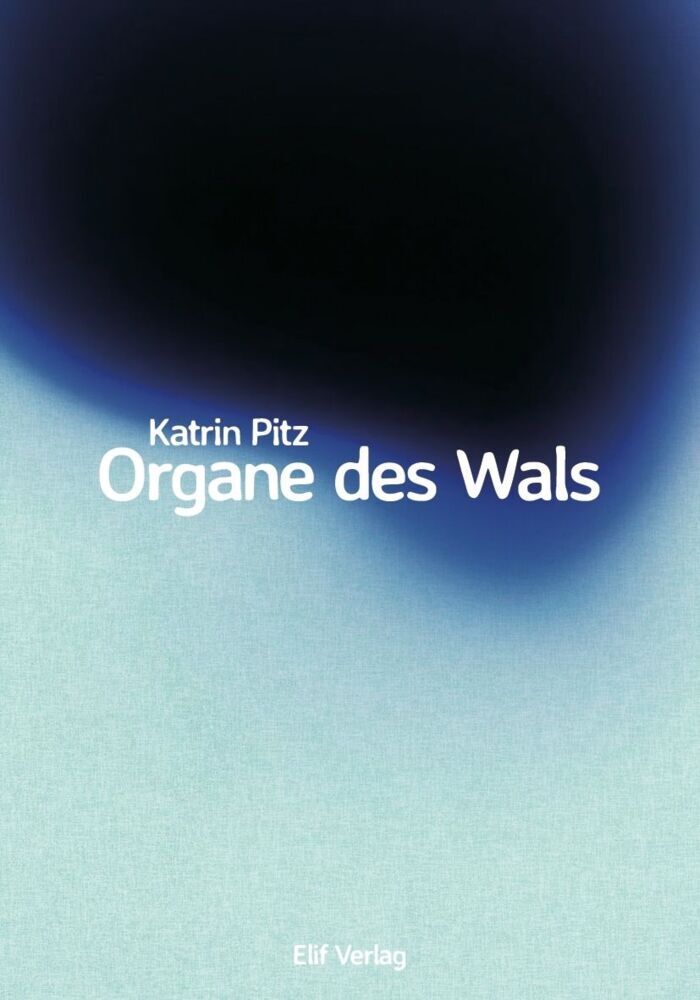 Organe des Wals (Katrin Pitz)