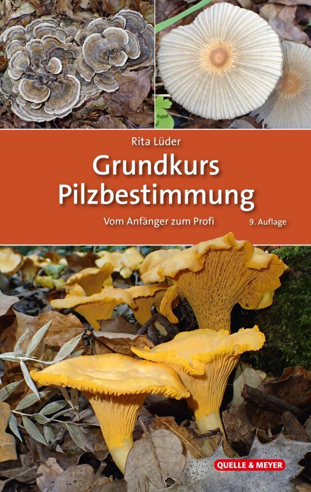 Grundkurs Pilzbestimmung (Rita Lüder)