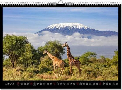 Faszination Afrika Premiumkalender 2025