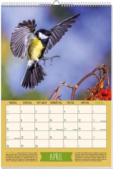 Heimische Singvögel Posterkalender 2025