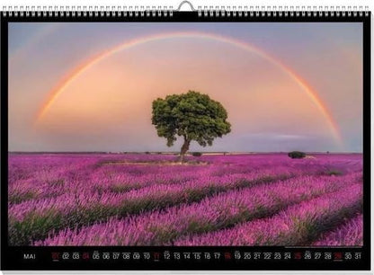 Regenbogen Premiumkalender 2025