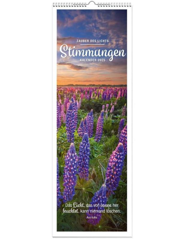 Stimmungen Panoramakalender 2025