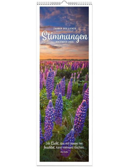 Stimmungen Panoramakalender 2025
