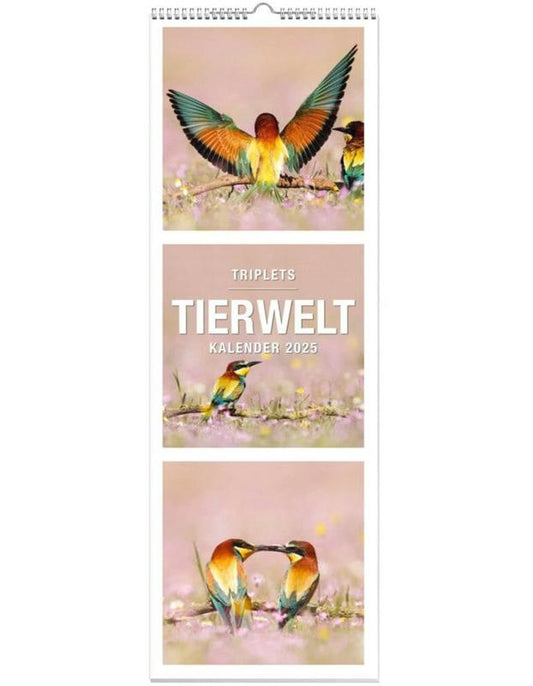 Tiere Triplets Panoramakalender 2025
