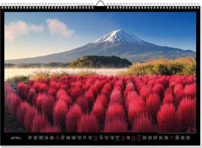 Wunder d. Natur Premiumkalender 2025