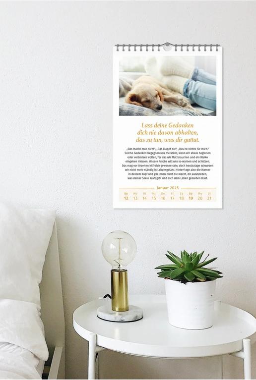 Der Lebensfreude-Kalender 2025