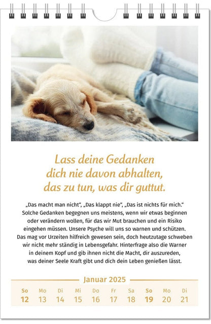 Der Lebensfreude-Kalender 2025