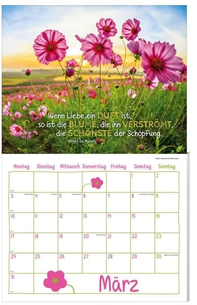 Liebe den Tag Kalenderpaket 2025, 9-teilig