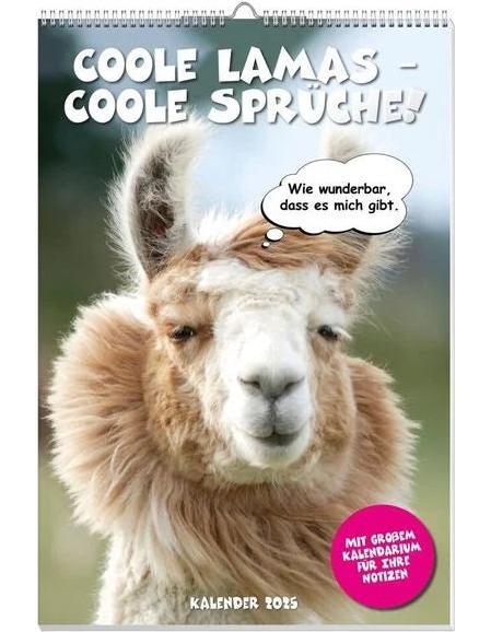 Coole Lamas Posterkalender 2025