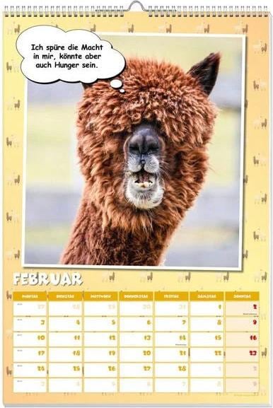 Coole Lamas Posterkalender 2025