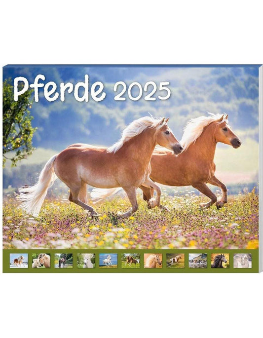 Pferde Kalenderpaket 2025, 9-teilig