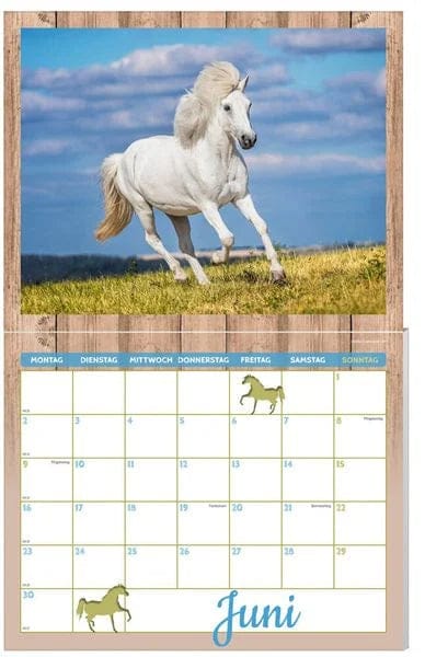 Pferde Kalenderpaket 2025, 9-teilig