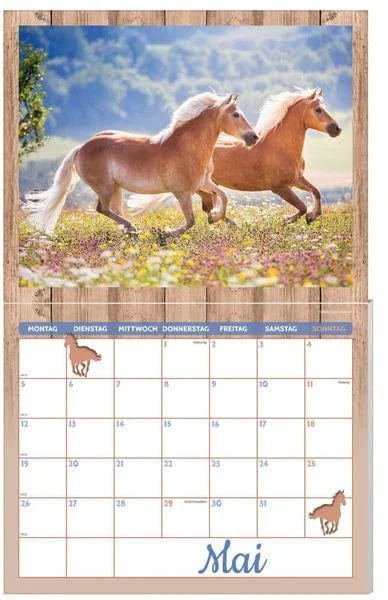 Pferde Kalenderpaket 2025, 9-teilig